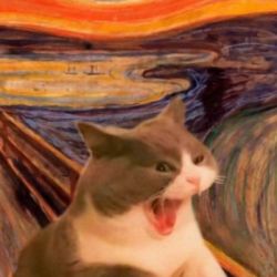 عکس میم بساز