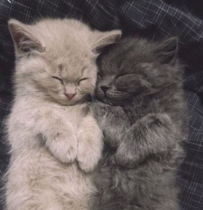 تصویر مسابقه