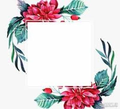 تصویر مسابقه