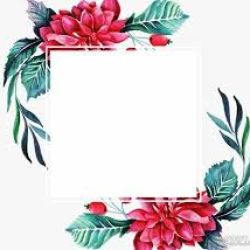 عکس متن برای پاکیزگی طبیعت