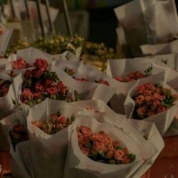 عکس ای کاش میشد...