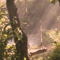 عکس مسابقه عکاسی