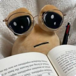 عکس میم بساز..