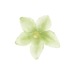 عکس یک جمله با امید.