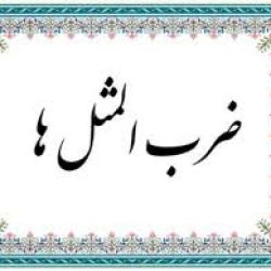 عکس ضرب المثل معروف بومی شما