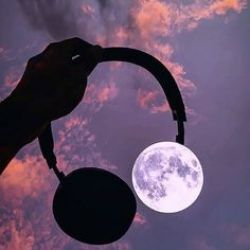 عکس معنای زندگیت چیست