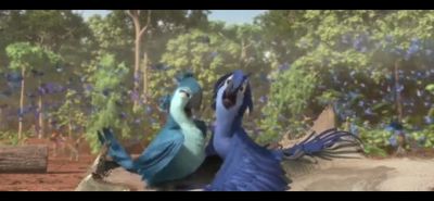 تصویر مسابقه