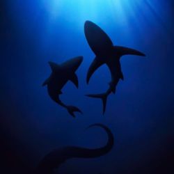 عکس آینده چه شکلی میشه؟