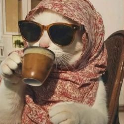 عکس شغل مورد علاقت