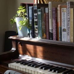 عکس کتاب‌های‌ترندی‌که‌ارزش‌خوندن‌ندارن..