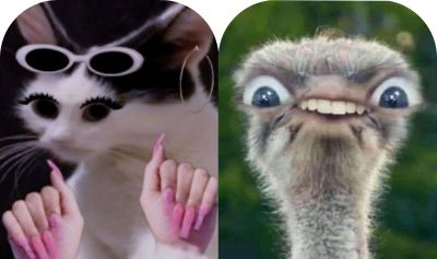 تصویر مسابقه