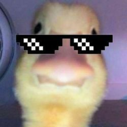 عکس میم بساز