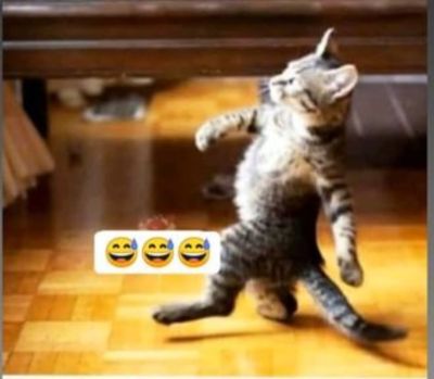 تصویر مسابقه