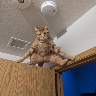 تصویر مسابقه