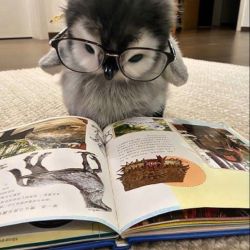 عکس اگه میتونستی یه یکی از آرزو هاتو واقعی کنی اون چی بود؟