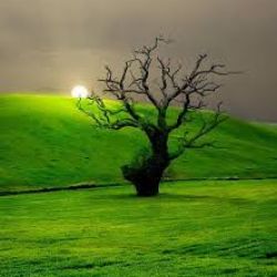 عکس زندگی سخت یا آسان