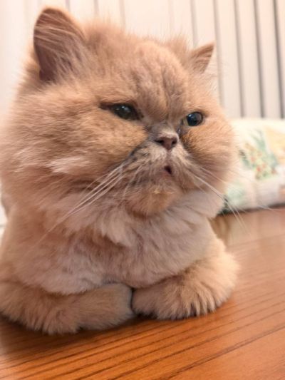 تصویر مسابقه