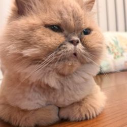 عکس یه روزایی...