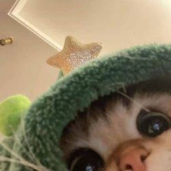 عکس همین الان...