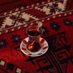 عکس بیا از تجربه هات بگو