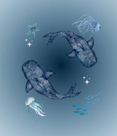 تصویر مسابقه