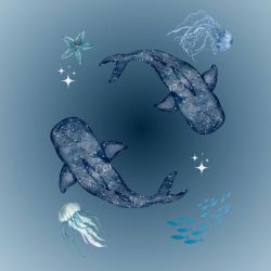 عکس یه جمله که .....