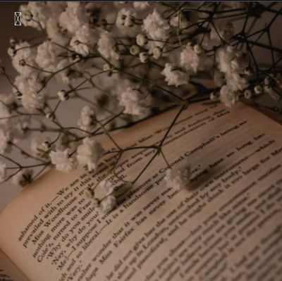 تصویر مسابقه