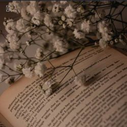 عکس میتونی فقط با ی جمله آرامش رو منتقل کنی؟؟