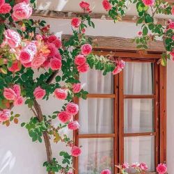 عکس لذت بخش ترین کاری که تو بچگی انجام میدادید