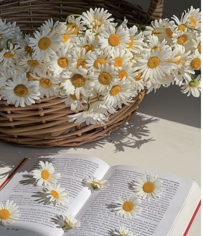 تصویر مسابقه