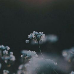 عکس حرف ماندگار من