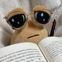 عکس امتحانات دی