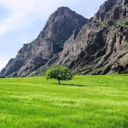 عکس چقدر به طبیعت علاقه داری