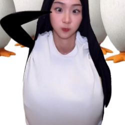 عکس میم بسازید