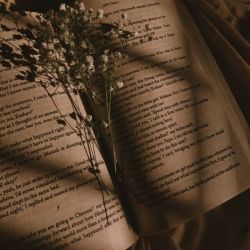 عکس بهترین کتابی که خوندی چی بود ؟