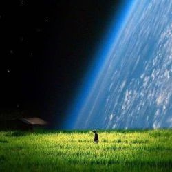 عکس اگه یه روز ...