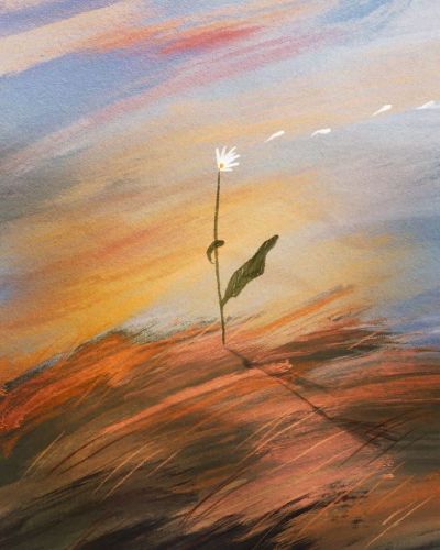 تصویر مسابقه