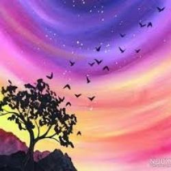 عکس آرزو برای امروز