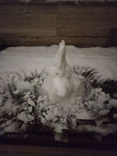 تصویر مسابقه