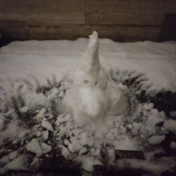 عکس آدم برفی