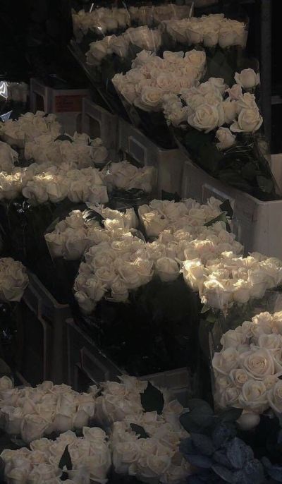 تصویر مسابقه