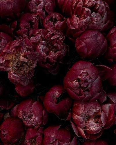 تصویر مسابقه