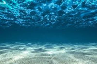 تصویر مسابقه