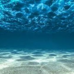 عکس بانمک ترین قانون خونتون؟!