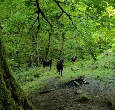 تصویر مسابقه