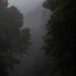 عکس اگه جای بارون بودی...