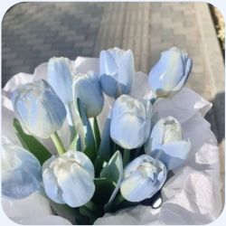 عکس مسخره ترین دلیلی که بخاطرش با یکی دوست شدین