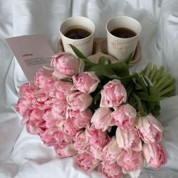 عکس اگه تا آخر عمرت می خواستی یه جا زندگی کنی.....