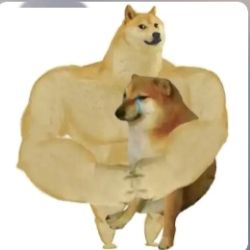 عکس میم بساز