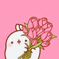 عکس گینس کاربران تستچی!